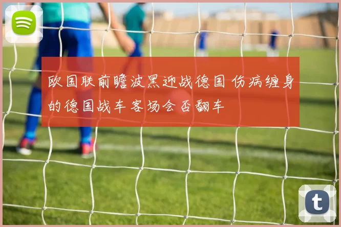 欧国联前瞻波黑迎战德国 伤病缠身的德国战车客场会否翻车
